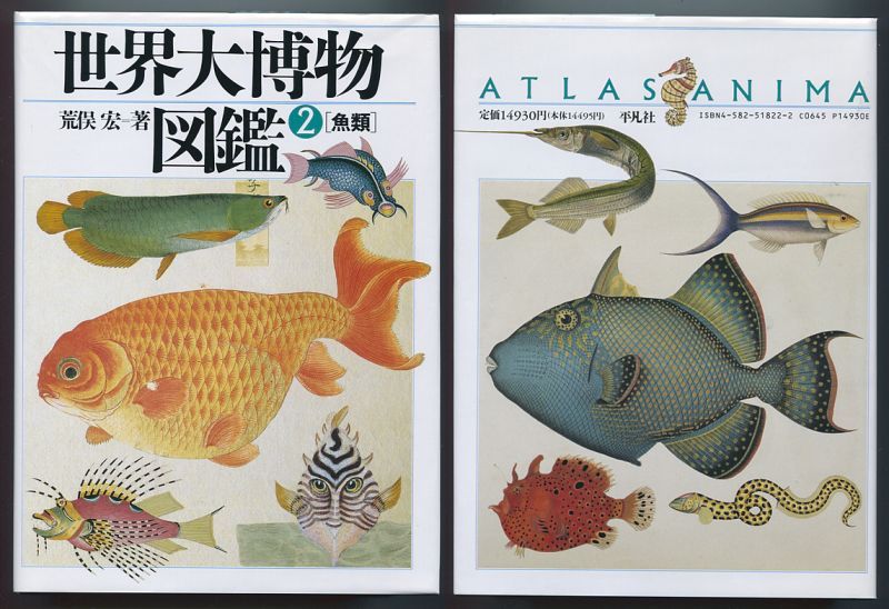 f:id:tsuputon7:20180509091519j:plain