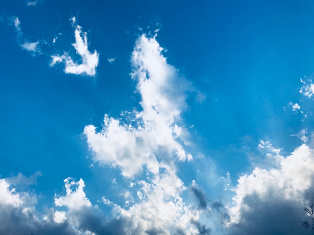 f:id:tsuputon7:20180619122848j:plain f:id:tsuputon7:20180619122848j:plain