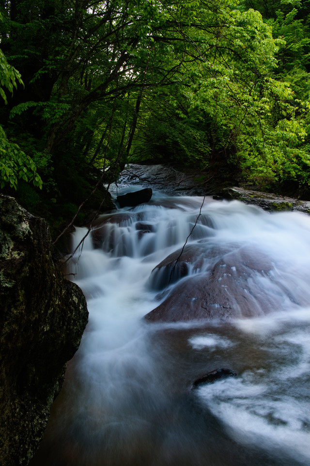 f:id:tsuputon7:20180716132915j:plain