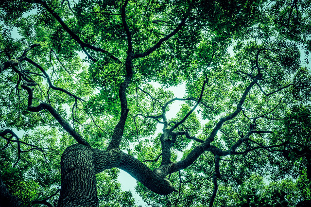 f:id:tsuputon7:20180716133126j:plain