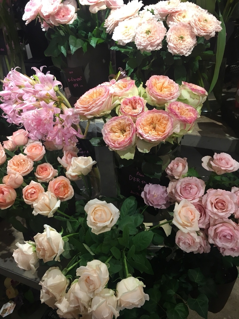 f:id:tsuputon7:20181014092129j:plain