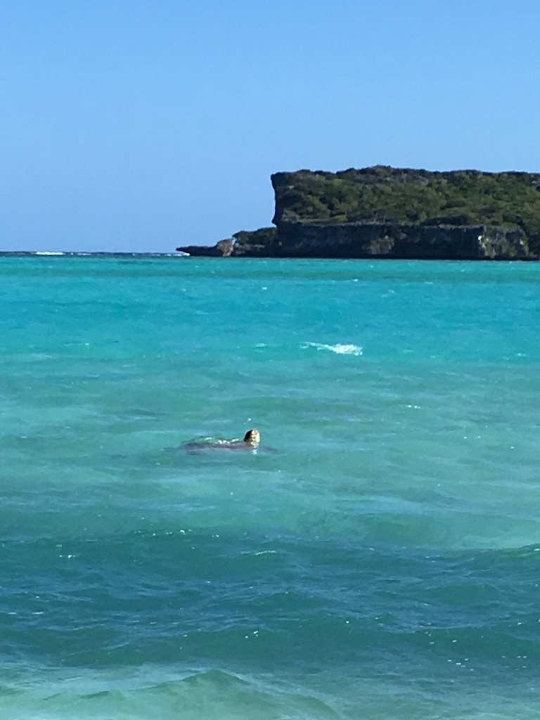 f:id:tsuputon7:20181126095426j:plain