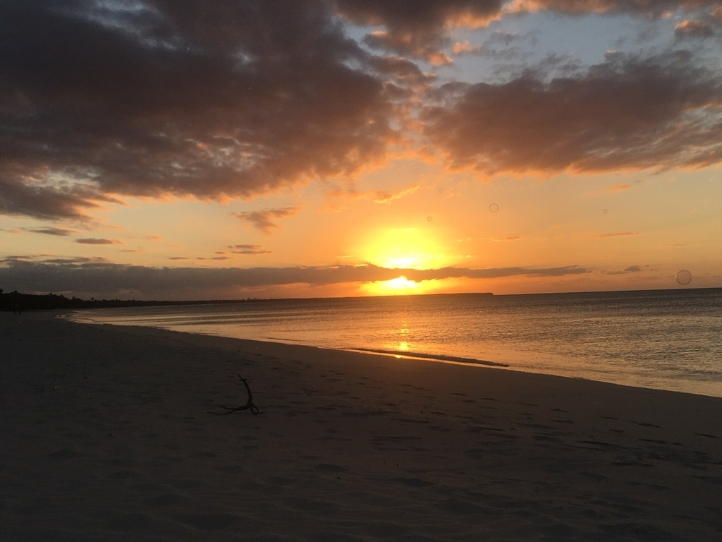 f:id:tsuputon7:20181126100944j:plain