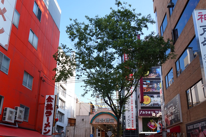f:id:tsuraiyo:20190217103626j:plain f:id:tsuraiyo:20190217103626j:plain