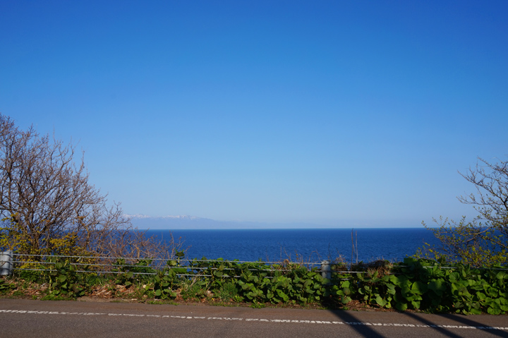f:id:tsuraiyo:20190529003533j:plain f:id:tsuraiyo:20190529003533j:plain