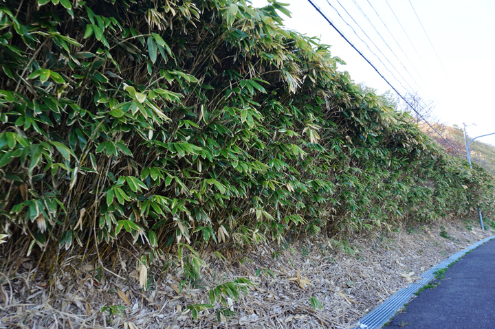 f:id:tsuraiyo:20190529003538j:plain f:id:tsuraiyo:20190529003538j:plain