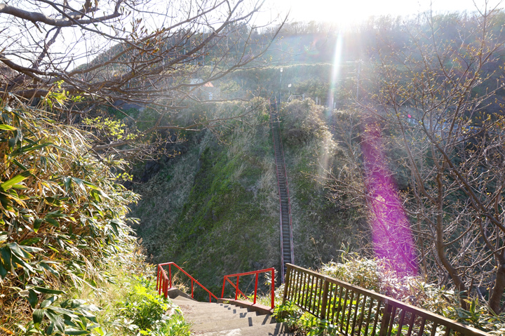 f:id:tsuraiyo:20190529003609j:plain f:id:tsuraiyo:20190529003609j:plain
