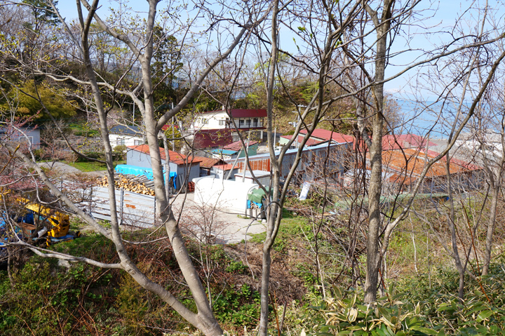 f:id:tsuraiyo:20190529003727j:plain f:id:tsuraiyo:20190529003727j:plain