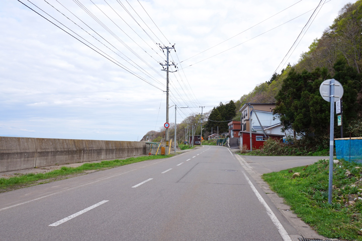 f:id:tsuraiyo:20190529003740j:plain f:id:tsuraiyo:20190529003740j:plain