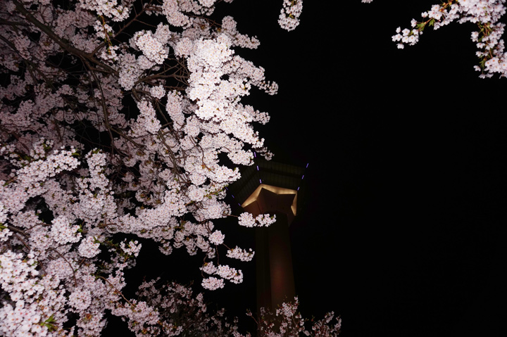 f:id:tsuraiyo:20190621172502j:plain f:id:tsuraiyo:20190621172502j:plain