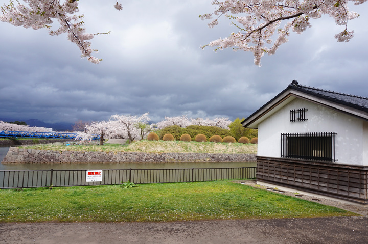 f:id:tsuraiyo:20190621172525j:plain f:id:tsuraiyo:20190621172525j:plain