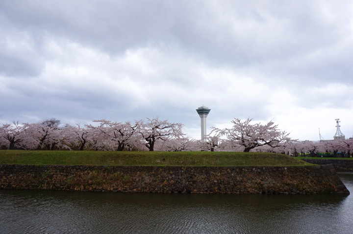 f:id:tsuraiyo:20190621172545j:plain f:id:tsuraiyo:20190621172545j:plain