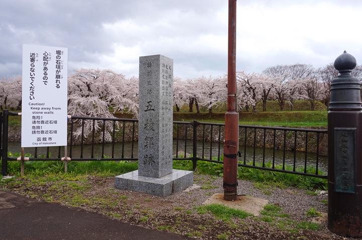 f:id:tsuraiyo:20190621172548j:plain f:id:tsuraiyo:20190621172548j:plain