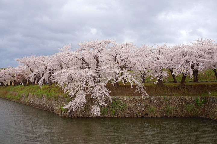 f:id:tsuraiyo:20190621172551j:plain f:id:tsuraiyo:20190621172551j:plain