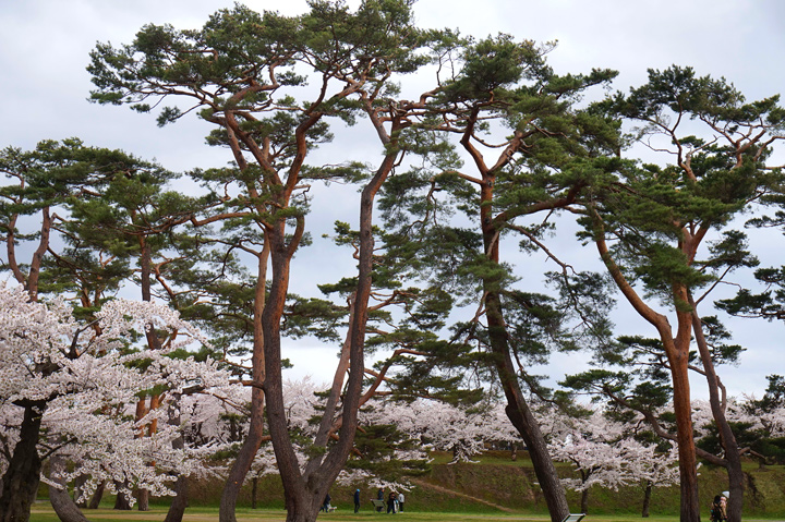 f:id:tsuraiyo:20190621172601j:plain f:id:tsuraiyo:20190621172601j:plain