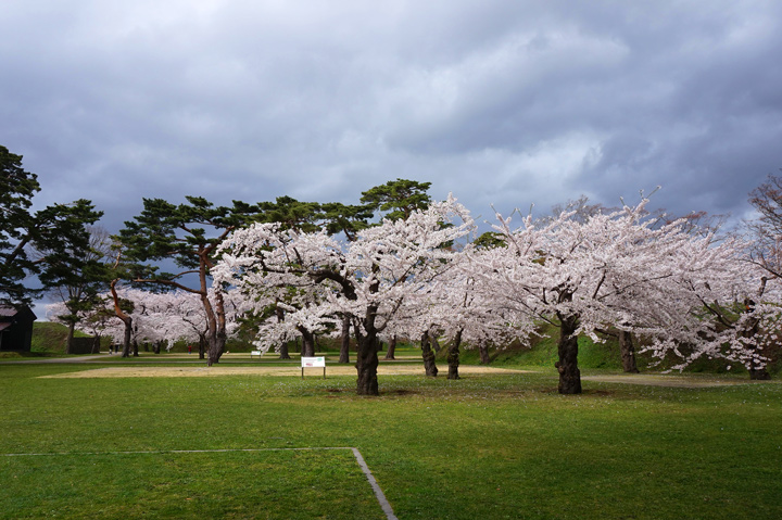 f:id:tsuraiyo:20190621172607j:plain f:id:tsuraiyo:20190621172607j:plain