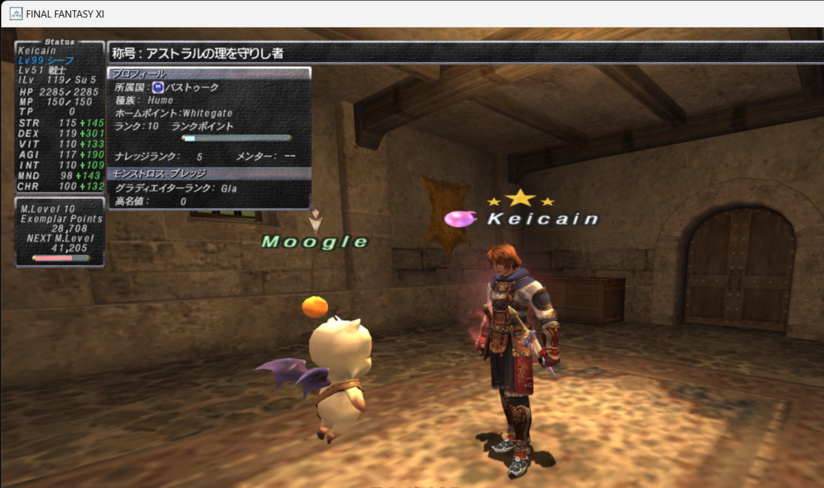 FFXI バストゥークリング 19号