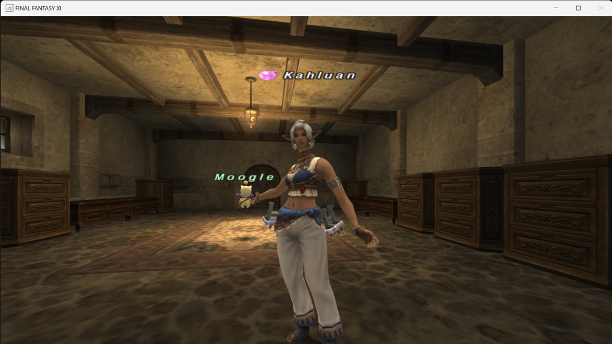 2023年に実施した単垢でのレベル上げメモ - 今日のヴァナ