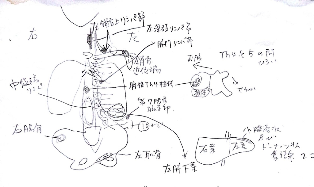 f:id:tsurezure4:20180919014328j:plain