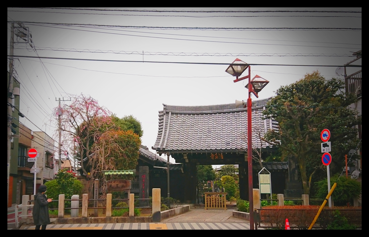 f:id:tsurezure4:20190331021846j:plain f:id:tsurezure4:20190331021846j:plain