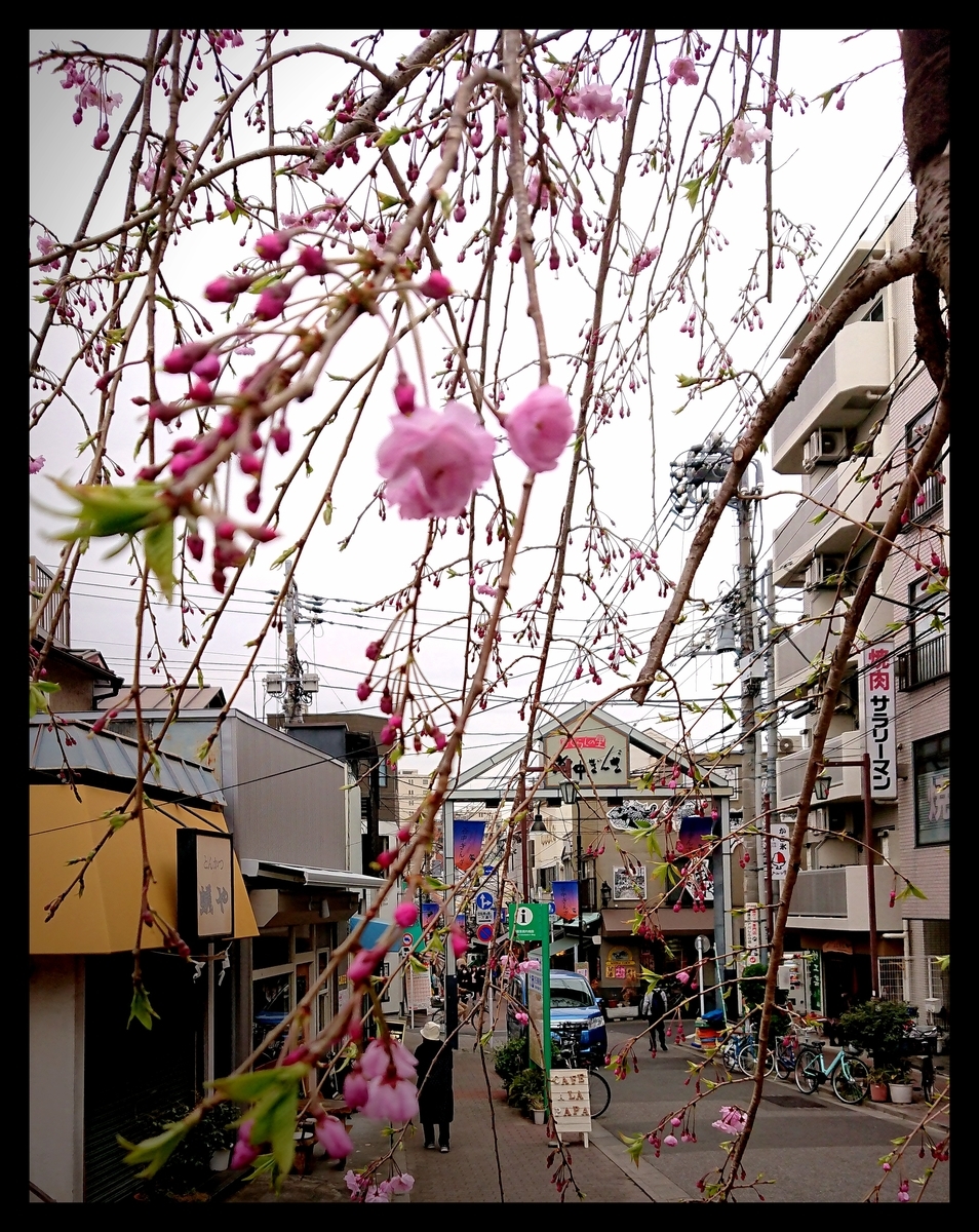 f:id:tsurezure4:20190331022021j:plain f:id:tsurezure4:20190331022021j:plain