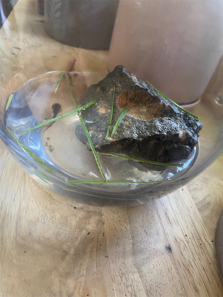 f:id:tsurezureaus:20220102204102j:image f:id:tsurezureaus:20220102204102j:image