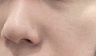 f:id:tsurezurebiyou:20210301204553j:plain