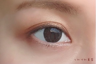 f:id:tsurezurebiyou:20210604140210j:plain