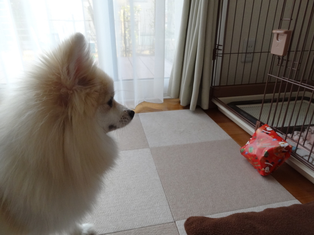 f:id:tsuri_thanks:20171225225221j:plain f:id:tsuri_thanks:20171225225221j:plain