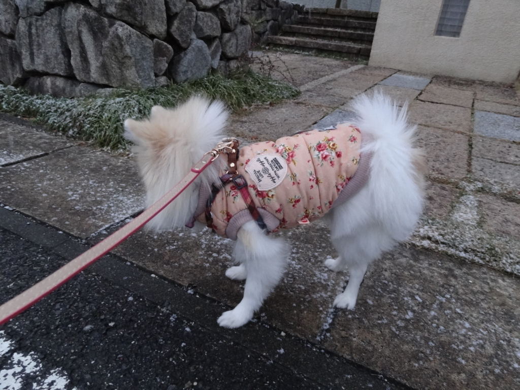 f:id:tsuri_thanks:20171227194002j:plain f:id:tsuri_thanks:20171227194002j:plain