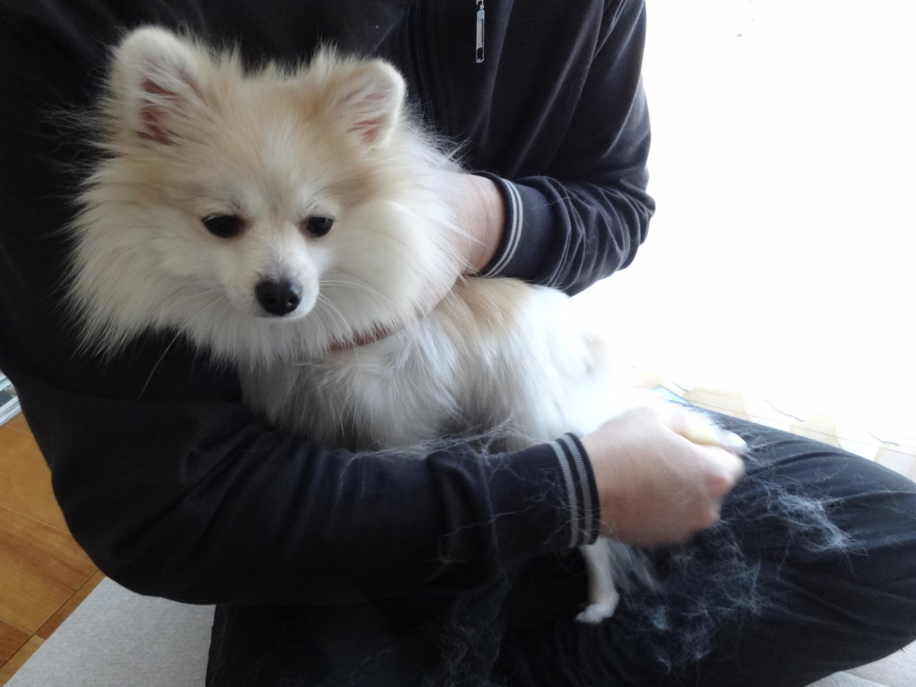 f:id:tsuri_thanks:20180104194639j:plain f:id:tsuri_thanks:20180104194639j:plain