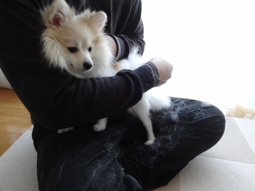 f:id:tsuri_thanks:20180104194652j:plain f:id:tsuri_thanks:20180104194652j:plain