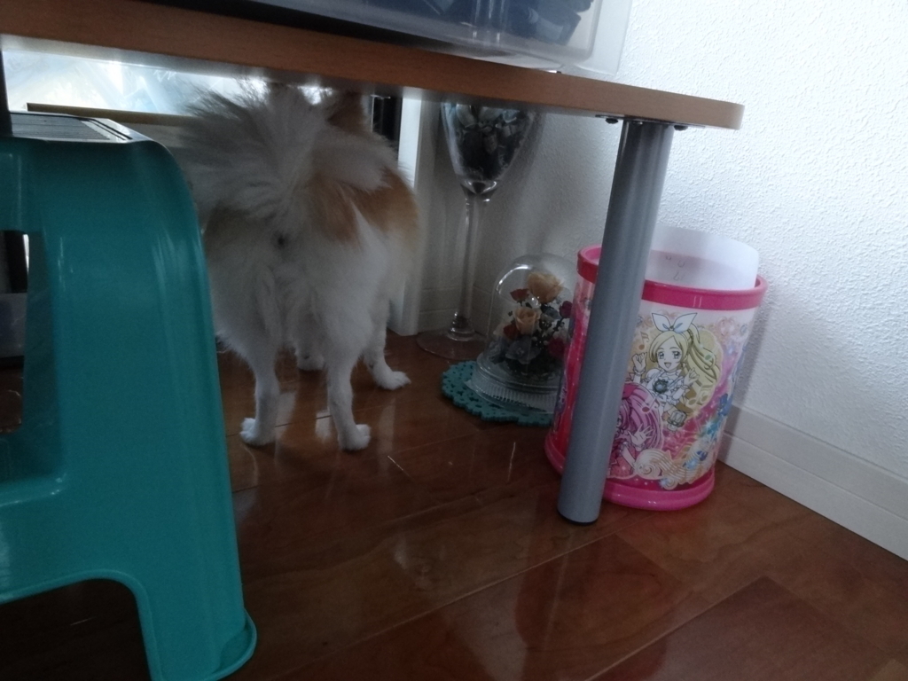 f:id:tsuri_thanks:20180112211831j:plain f:id:tsuri_thanks:20180112211831j:plain