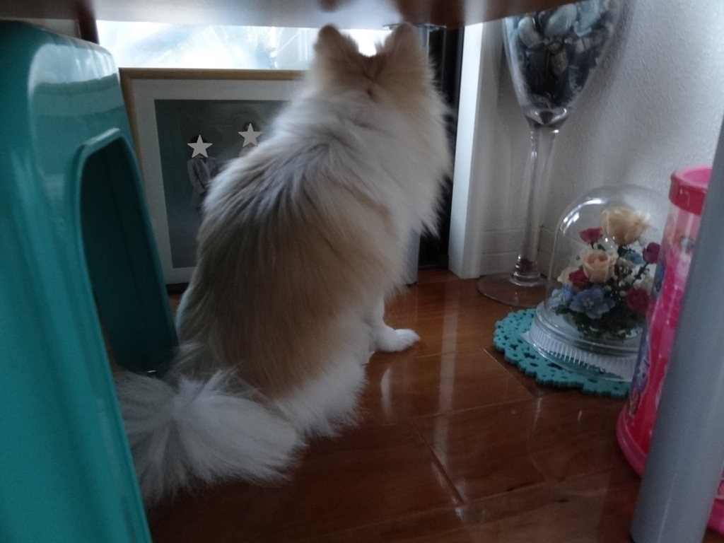 f:id:tsuri_thanks:20180112211837j:plain f:id:tsuri_thanks:20180112211837j:plain
