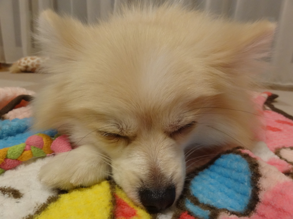 f:id:tsuri_thanks:20180115200651j:plain f:id:tsuri_thanks:20180115200651j:plain