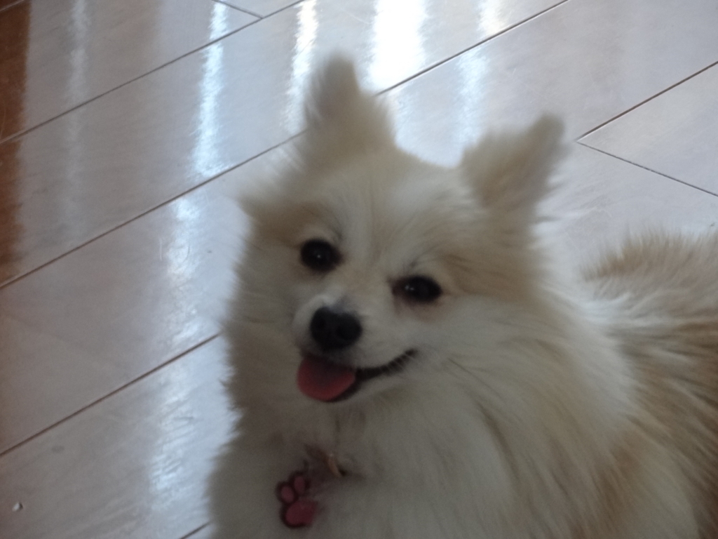 f:id:tsuri_thanks:20180124185104j:plain f:id:tsuri_thanks:20180124185104j:plain