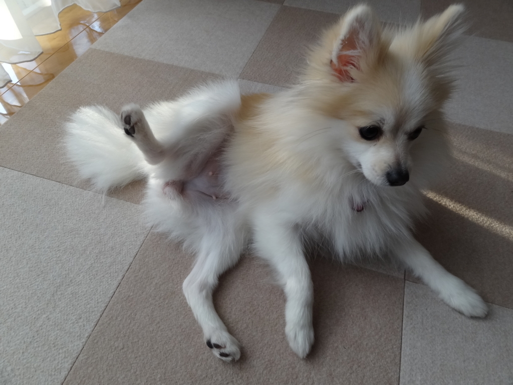 f:id:tsuri_thanks:20180129194444j:plain f:id:tsuri_thanks:20180129194444j:plain