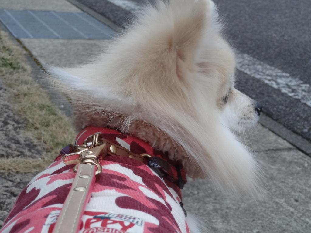 f:id:tsuri_thanks:20180209201504j:plain f:id:tsuri_thanks:20180209201504j:plain