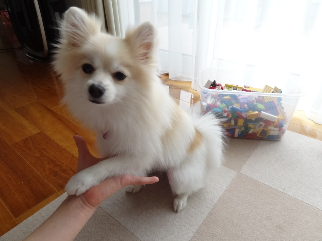 f:id:tsuri_thanks:20180210232305j:plain f:id:tsuri_thanks:20180210232305j:plain
