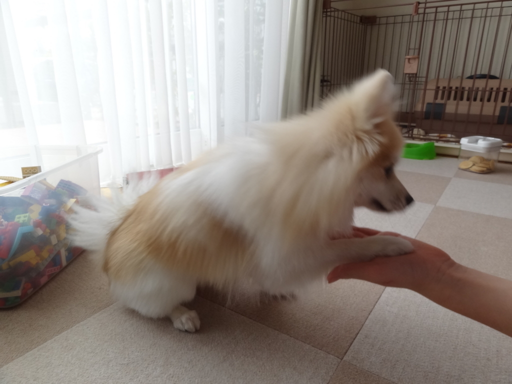 f:id:tsuri_thanks:20180210232317j:plain f:id:tsuri_thanks:20180210232317j:plain