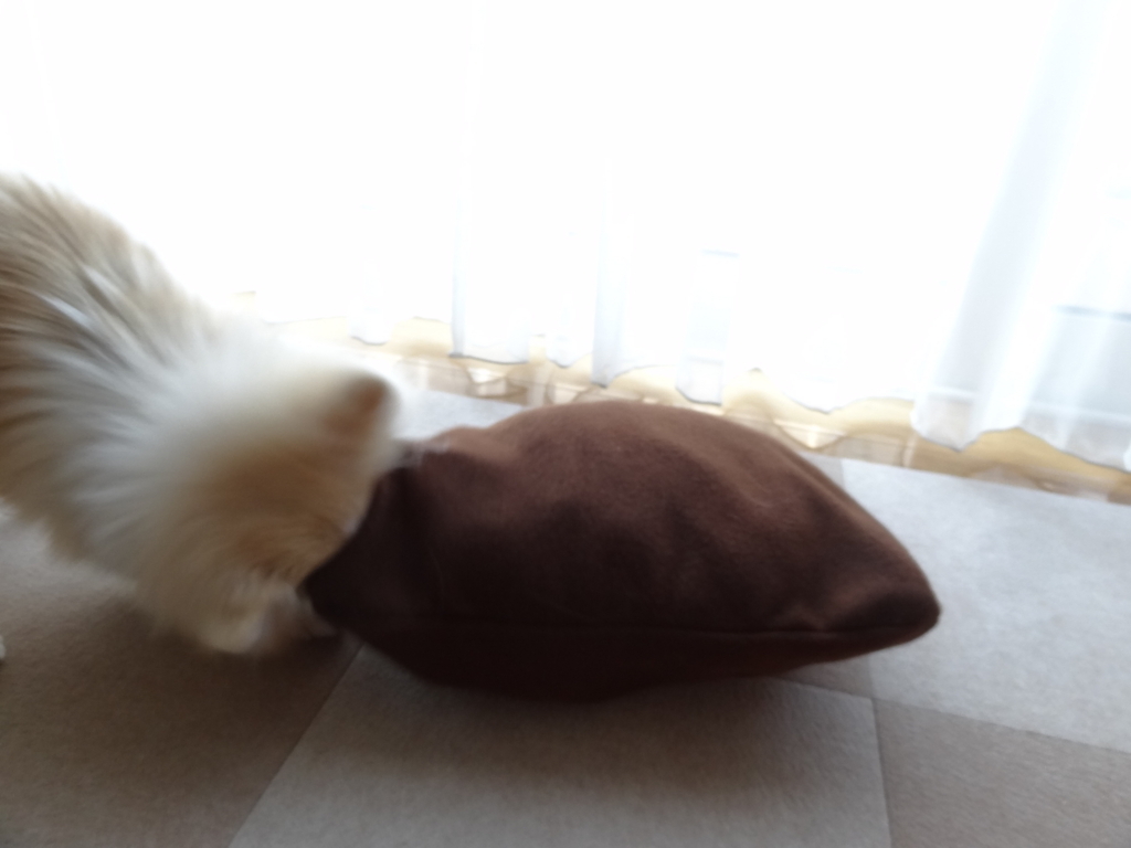 f:id:tsuri_thanks:20180217213920j:plain f:id:tsuri_thanks:20180217213920j:plain