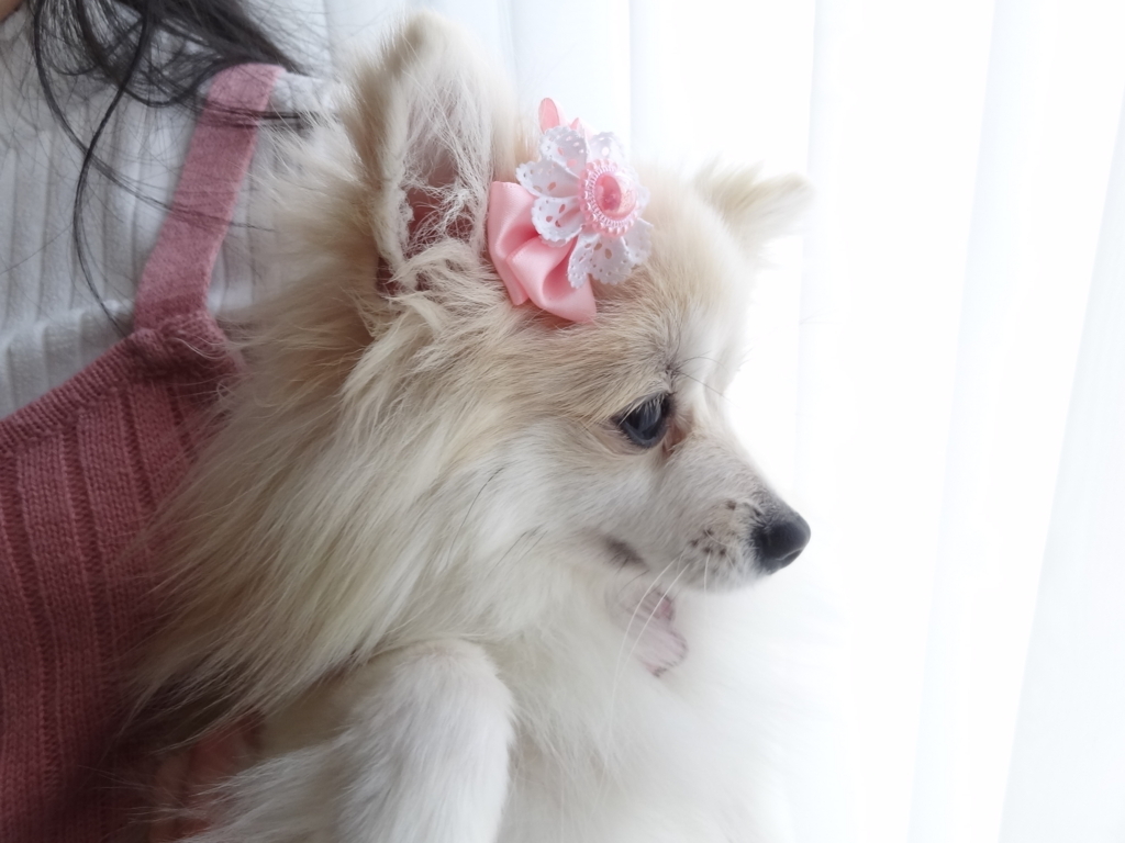f:id:tsuri_thanks:20180222140201j:plain f:id:tsuri_thanks:20180222140201j:plain