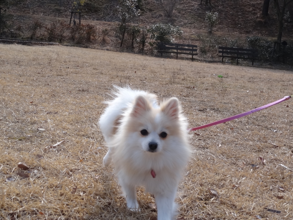 f:id:tsuri_thanks:20180224130714j:plain f:id:tsuri_thanks:20180224130714j:plain