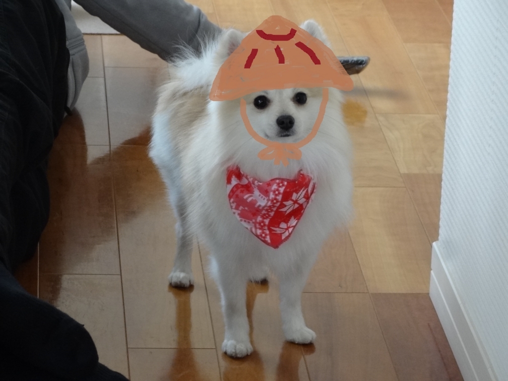 f:id:tsuri_thanks:20180228134854j:plain f:id:tsuri_thanks:20180228134854j:plain