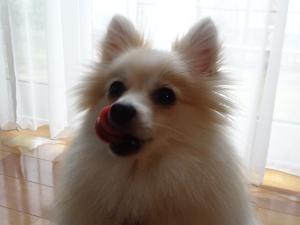 f:id:tsuri_thanks:20180622134902j:plain f:id:tsuri_thanks:20180622134902j:plain