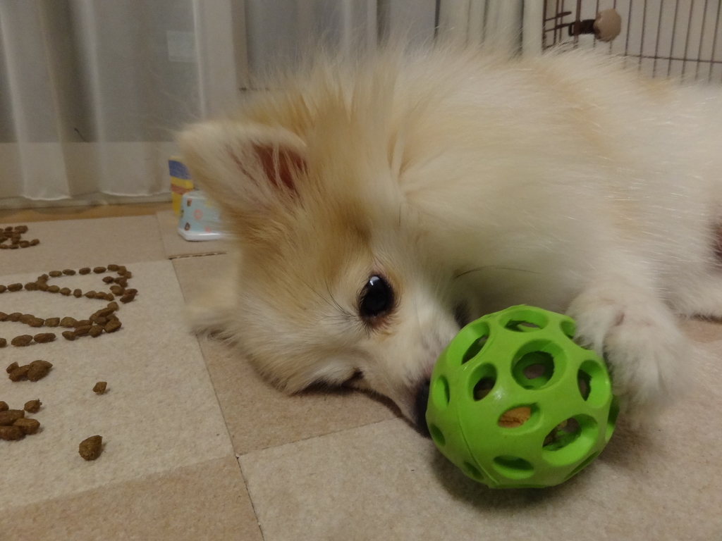 f:id:tsuri_thanks:20190120074607j:plain f:id:tsuri_thanks:20190120074607j:plain