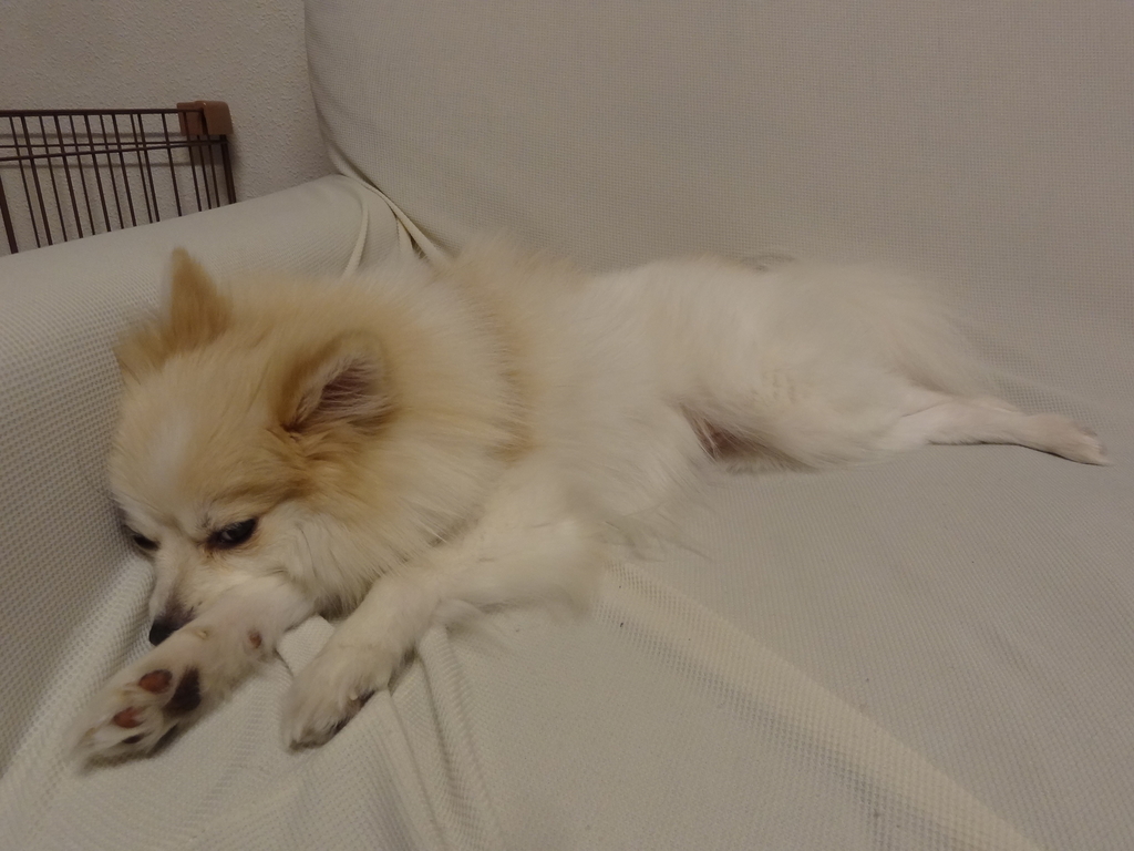 f:id:tsuri_thanks:20190207195819j:plain f:id:tsuri_thanks:20190207195819j:plain