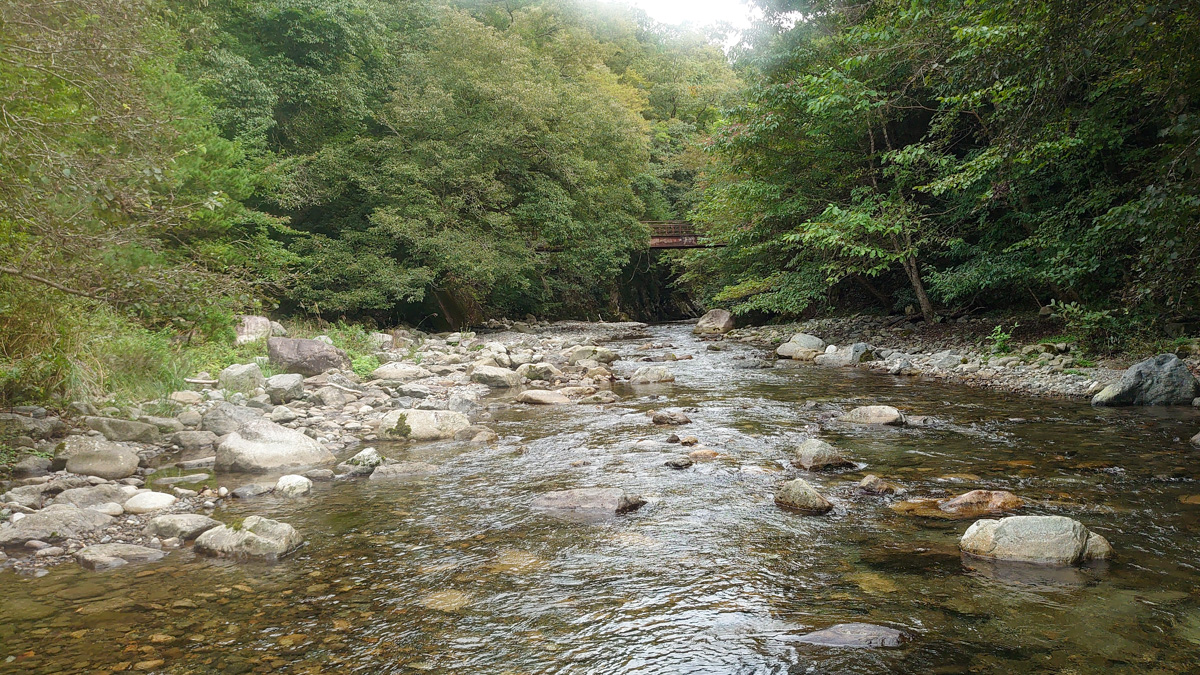 渓流釣り】滋賀県・愛知川漁協での釣り：2021年度の感想【年券