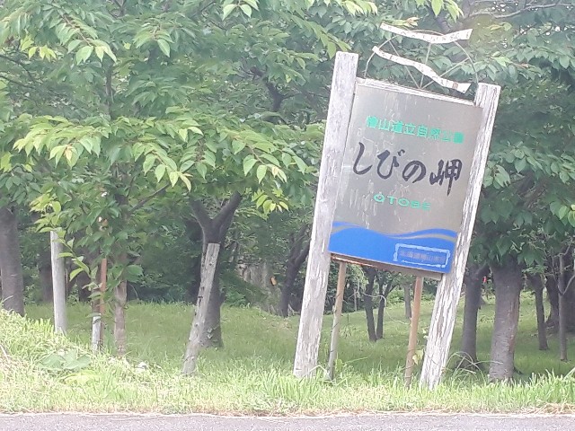f:id:tsuribaka-haru:20200728222828j:plain f:id:tsuribaka-haru:20200728222828j:plain