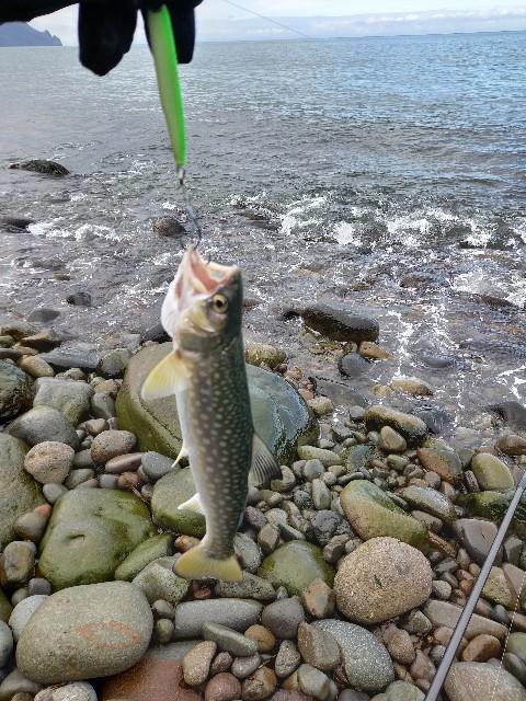 留萌 浜益方面へ サクラマス アメマス釣り 北海道 海釣りdiary 留萌 浜益方面へ サクラマス アメマス釣り 北海道 海釣りdiary